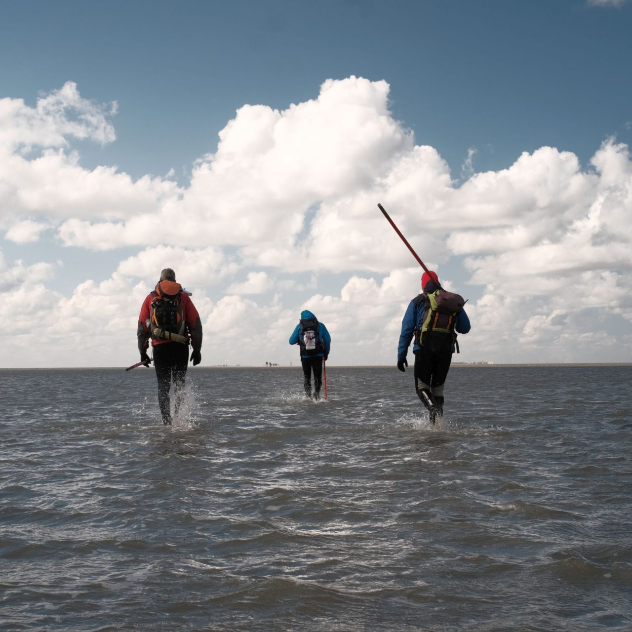Wadlopen naar Rottumeroog