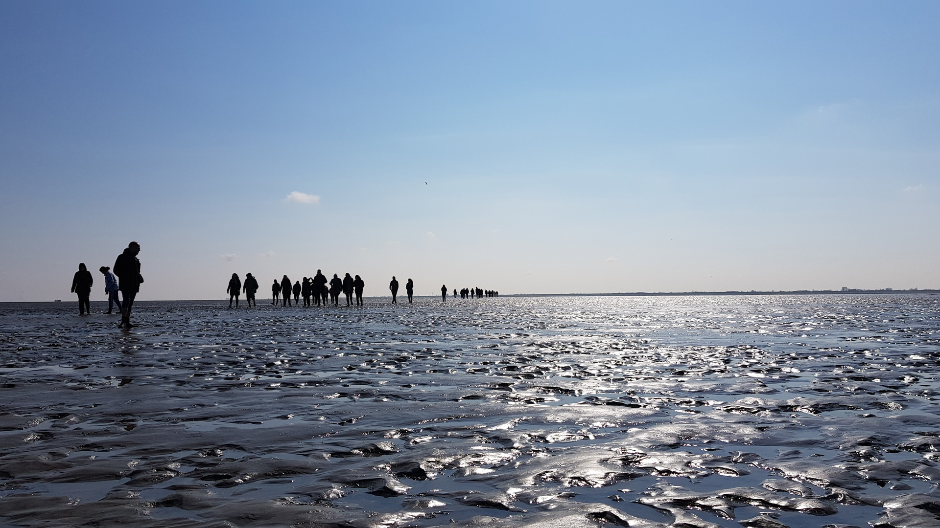 wadloopcentrum-pieterburen-al-60-jaar-ervaring-met-wadlopen