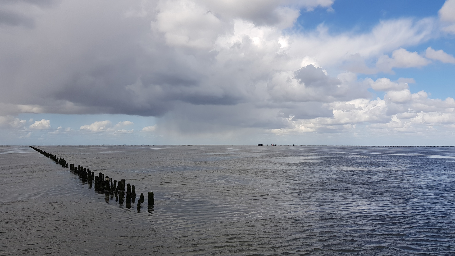 wadloopcentrum-pieterburen-al-60-jaar-ervaring-met-wadlopen