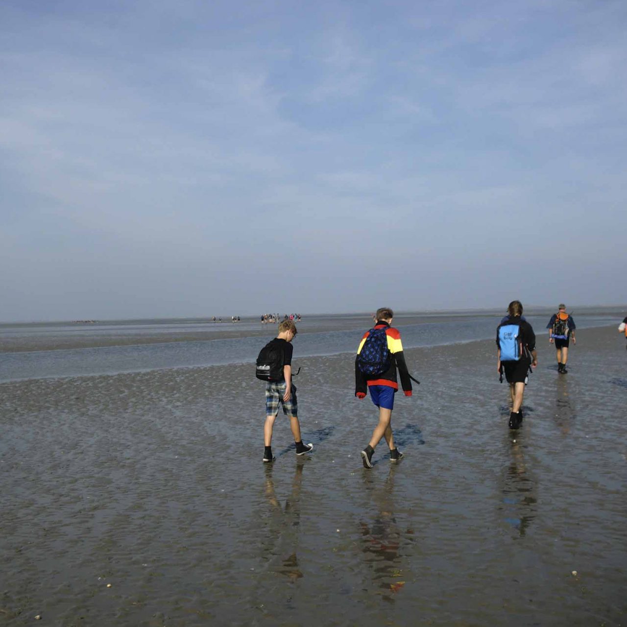 Wadlopen via Brakzand naar Schiermonnikoog